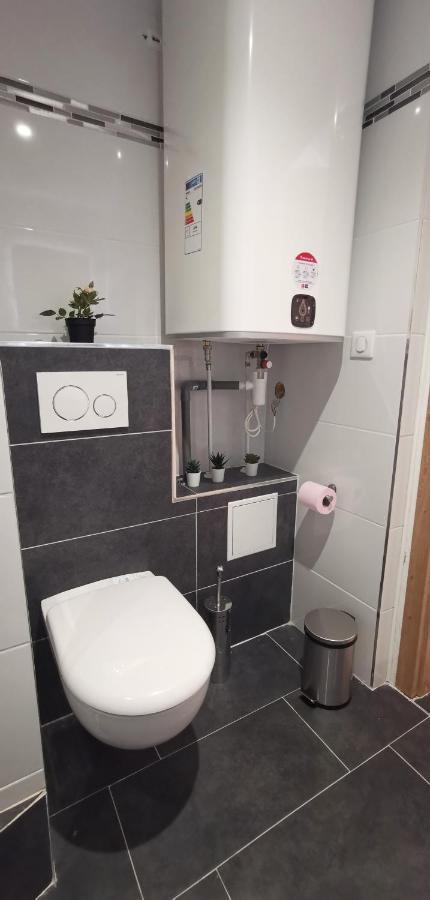 App 11 Mulhouse Centre , 4 Personnes Appartement Buitenkant foto